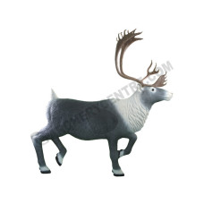 Rinehart Caribou